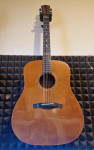 Aragon All Solid Rosewood / Spruce Top Acoustic