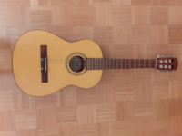 Fender ESC-80 NS