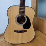 gitara takamine