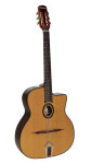 RICHWOOD GIPSY JAZZ GITARA RM-150-NT