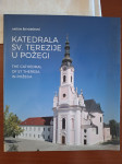 Katedrala sv. Terezije u Požegi - Antun Škvorčević