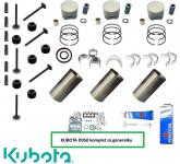 Komplet dijelova za generalku motora KUBOTA D950