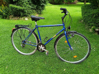 Muški gradski bicikl DINOTTI