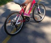 Reebok rozi bicikl