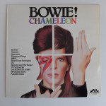 David Bowie – Chameleon