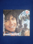 David Cassidy: Daydreamer / The Puppy Song