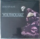 Dead or Alive - Youthquake