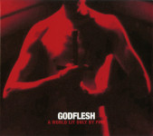 GODFLESH - A World Lit Only By Fire