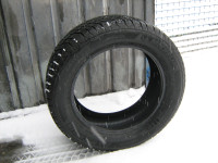 MICHELIN ALPIN 255x55x18