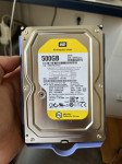 Western Digital Enteprise 500GB