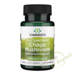 Chaga gljive Swanson, 400 mg, 60 kapsula