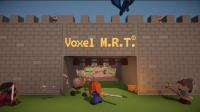 Voxel M.R.T.  Steam