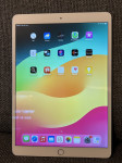 Apple iPad Air 3