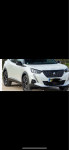 Peugeot 2008 1,5 BlueHDI 2021 godina bio u poplavi limarija top