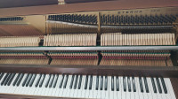 Pianino Yamaha eterna