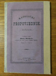 KATOLIČKI propovjednik / Tečaj V. - Broj 6. - 1881.g. / Hinko HLADÁČEK