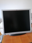 HP lcd 19"Monitor