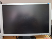 Samsung SyncMaster 923NW - LCD monitor - 19''