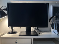 Benq zowie xl2411 monitor