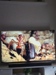 LED TV SAMSUNG QE55QN85AATXXH