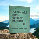 Peter Popesko :Anatomski atlas domaćih životinja 2 DIO