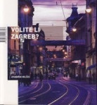 Zvonimir Milčec: Volite li Zagreb?