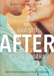 Ana Tod: After, Posle sudara