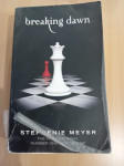 Breaking Down Stephenie Meyer roman na engleskom jeziku