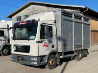 MAN TGL 12.220 kamion za prijevoz stoke