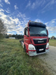 MAN TGX  18.480 za prijevoz kontejnera