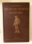 Woerdeman - Atlas of human anatomy (volume 1)