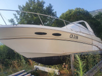 Sea Ray Sundancer 290