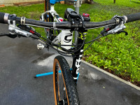 Cannondale F29 carbon