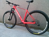 Canyon Exceed CF 5 carbon 29