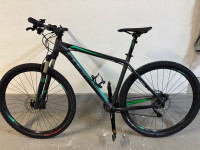 Cube Race Pro 29