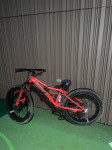 Fat bike