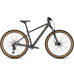 FOCUS WHISTLER 3.9 GRAY – 2023