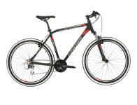 KROSS Esprit 1 SR / 23'' / 27.5''