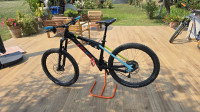 liteville custom carbon mtb