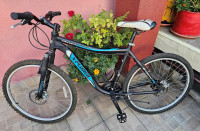 MTB bicikl X-plorer Runner PR22 Disc 26