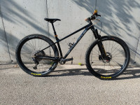 Norco Fluid HT Custom Build, M veličina