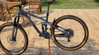 Radon custom mtb