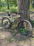 Trek Roscoe 9 2023