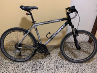 Wheeler mountain bike