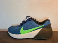 Nike Air Zoom TR 1 44.5