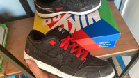 ⭐️ Nike SB dunk low - Wasted Youth - EU 41 ⭐️ - ORIGINAL, RABLJENE