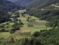 53.000 m2 građevinsko zemljište, Tinjan