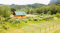 GORSKI KOTAR, BROD NA KUPI - Građevinsko zemljište sa voćnjakom uz rij