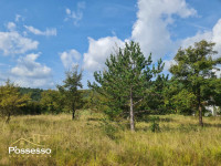 Građevinsko zemljište, Buzet, 955 m2