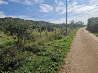 Građevinsko zemljište PRODAJA Donja Jagodnja, 3173 m2